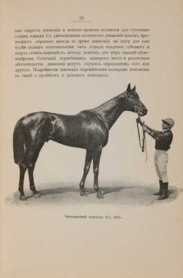[Де-Витт Л.В., автограф] Де-Витт Л.В. Конница. Ч. II. [Из 2-х]. Теория верховой езды. СПб.: 1907.